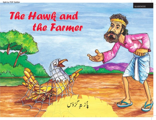 The Hawk and the Farmer